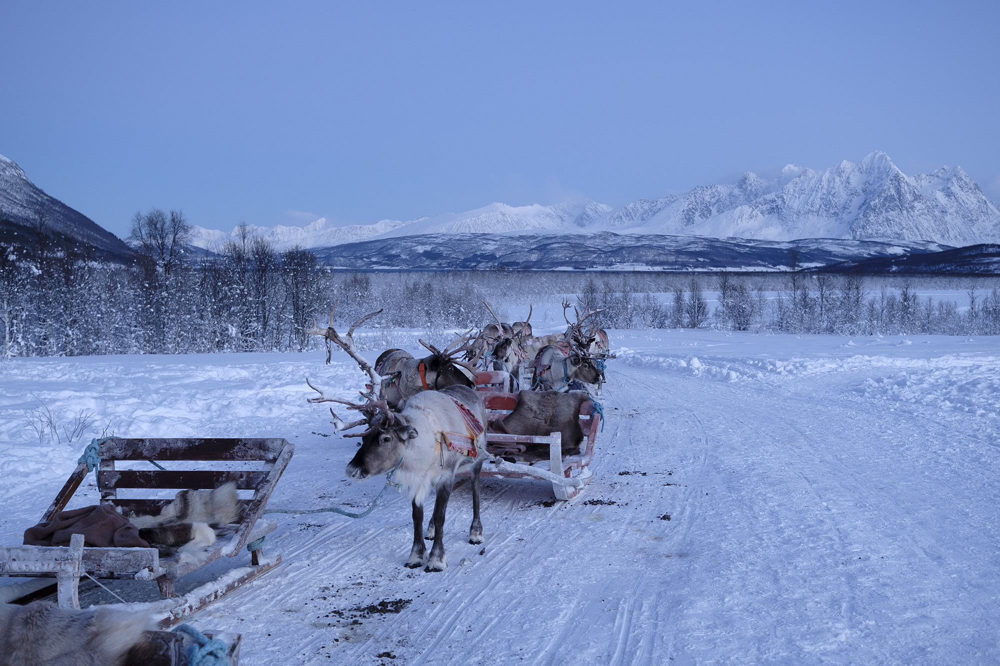 J013_Tromso_05