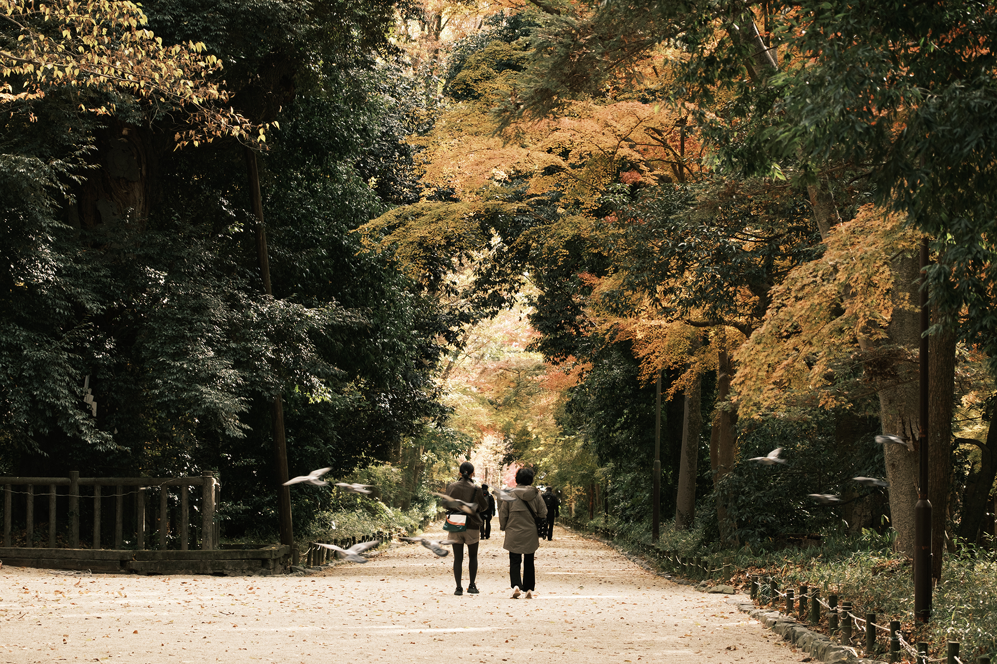 J030_Kyoto_03