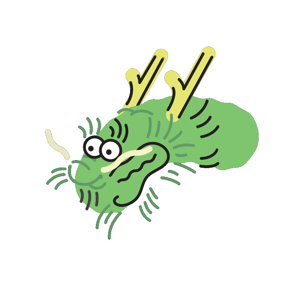 pf_carousel2_misc_01